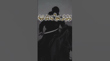 تلاوه هادئه تريح القلب قرٱن كريم #قرٱن_كريم #تلاوة_هادئة