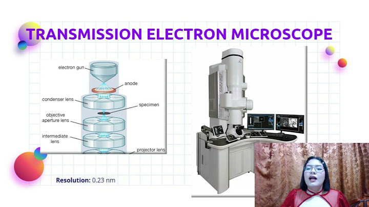 Select all the types of microscopes that are capable of resolving objects only 0.2 nanometers apart.