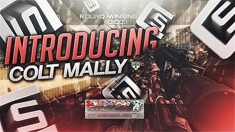 Introducing Colt Mally by Colt Owlahs (MW2)