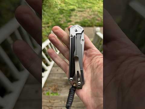 Chris Reeve Knives Large Sebenza 31.    