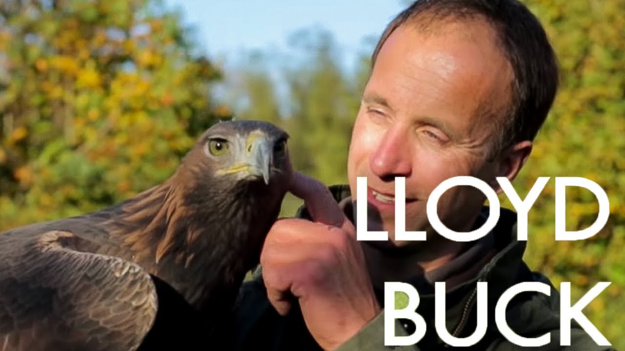The Bird Man Lloyd Buck Meet My Earth Unplugged YouTube