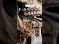 Você já tinha visto? 🦷😷