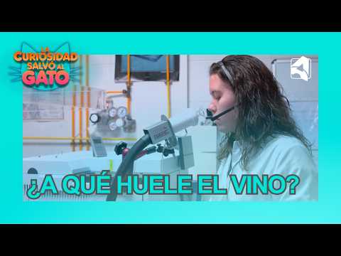 ¿A qué huele el vino? Retos en la enología