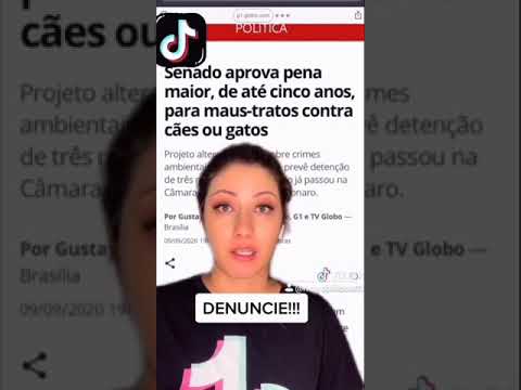 Vídeo: Cingapura Planeja Aumentar As Penas Por Abuso De Animais