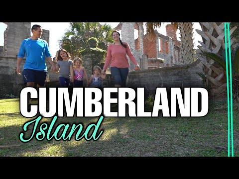 Video: Lawati Pulau Cumberland, Georgia