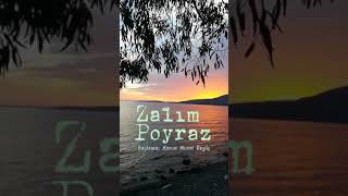 Zalım Poyraz Resimi