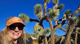 Prime Desert Woodland Preserve - A Hidden Gem near Los Angeles