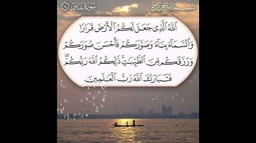 سورة غافر الآية ( 64 )
