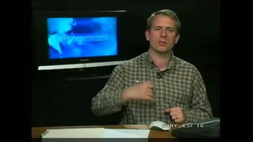 Global Environment - Kleptocracies (part 1)