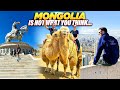 Mongolia travel guide  avoid these mistakes