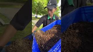PENGELOLAAN SAMPAH ORGANIK DI SARI ATER KAMBOTI KOTA BANDUNG