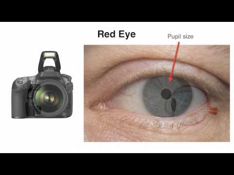 How to Reduce Red Eye in Photographs with John Greengo