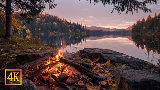 Download Lagu Cozy Autumn Evening by the Lake with Crackling Fire Sounds 🌲 Perfect for Sleep, Study \u0026 Meditation MP3 Download Lagu Cozy Autumn Evening by the Lake with Crackling Fire Sounds 🌲 Perfect for Sleep, Study \u0026 Meditation MP3