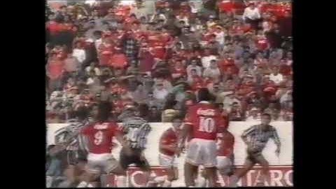 Internacional 1 x 0 Botafogo - Campeonato Brasileiro 1993