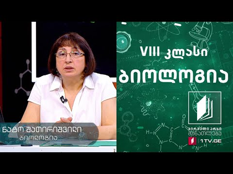 ბიოლოგია, VIII კლასი - ნერვული სისტემა #ტელესკოლა