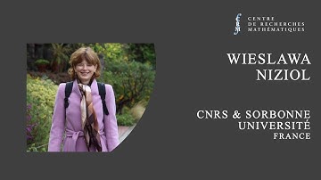 Hodge Theory of p-adic varieties