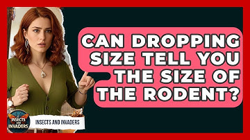 Can Dropping Size Tell You The Size Of The Rodent? - Insects and Invaders