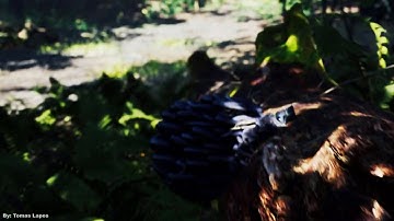 Castle ruins in a forest environment | Unreal Engine 4 | Quixel Megascans