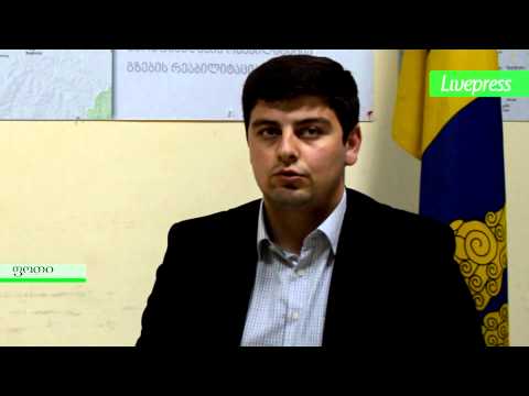 ინტერვიუ \"ნაციონალური მოძრაობის\" ფოთის მალთაყვის უბნის მაჟორიტარობის კანდიდატთან