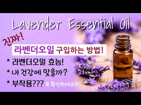 진짜! 라벤더오일 구입/효능/부작용까지~ Essential Oils Aromatherapy