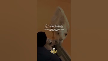 إذا الشمس كورت = سورة التكوير = #عبدالباسط_عبدالصمد #quran