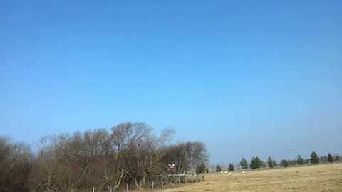 Align Trex 600e flight with some inverted flybar less 3gx