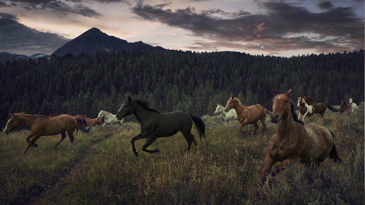 I'm Listening Wild Horses Music Video YouTube