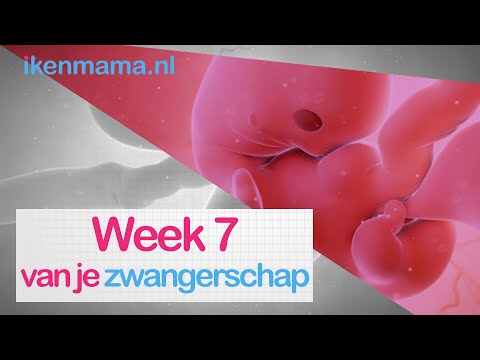 Video: By inplanting hoeveel weke swanger is jy?