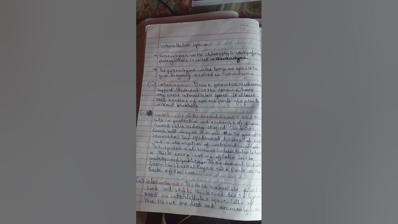 class-9-science-chapter-6-important-notes-for-exam-youtube