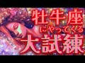 本当は気づいてるんじゃない？牡牛座さんヤバすぎです【タロットカードリーディング】［6月］