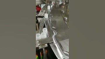 Spout pouch filling capping machine