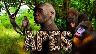 Great monkeys and Apes