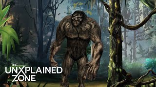 Bigfoot Spotted in Jaw-Dropping New Video (S2) | The Proof Is Out There | The UnXplained Zone