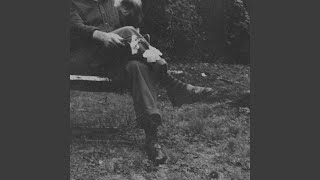 Say It Now - NEEDTOBREATHE