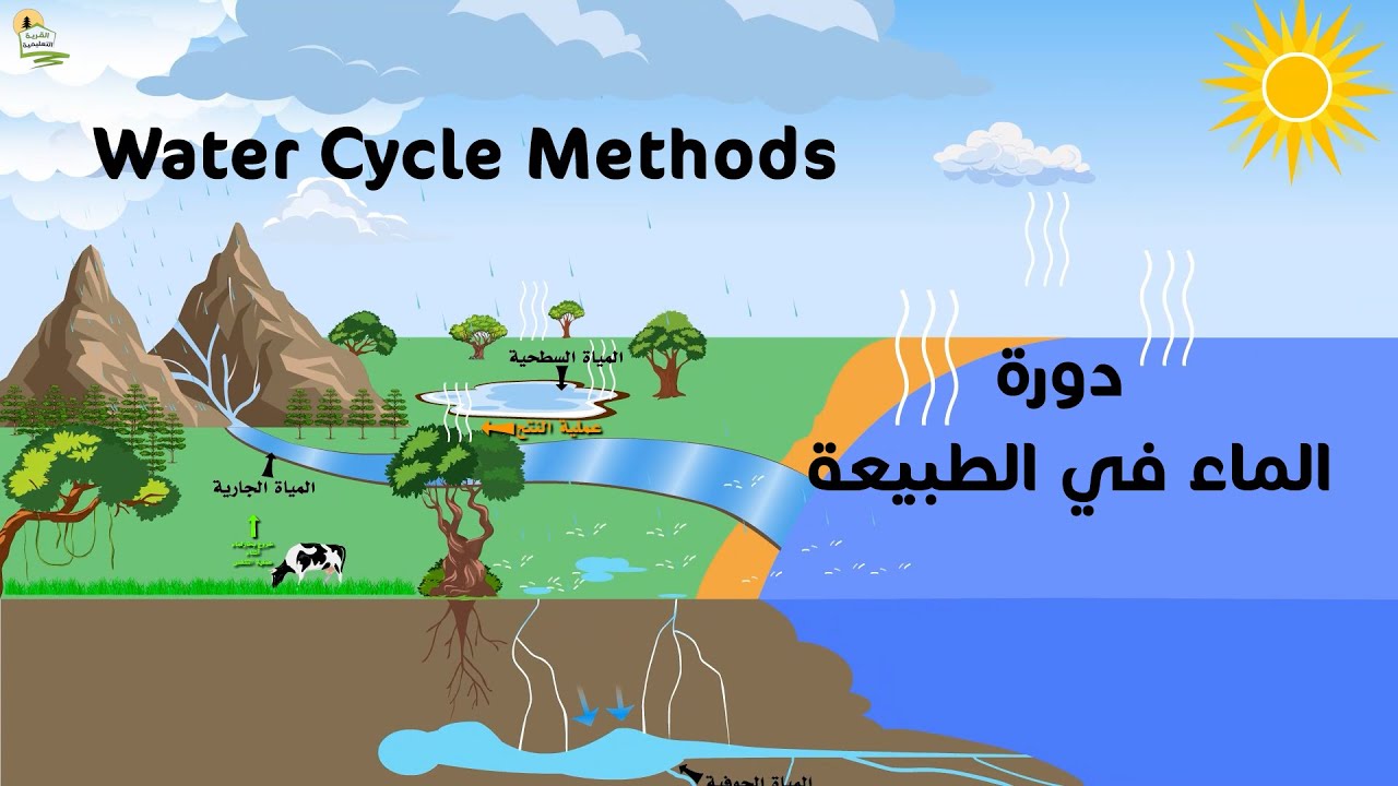 Water Cycle YouTube water-cycle-youtube