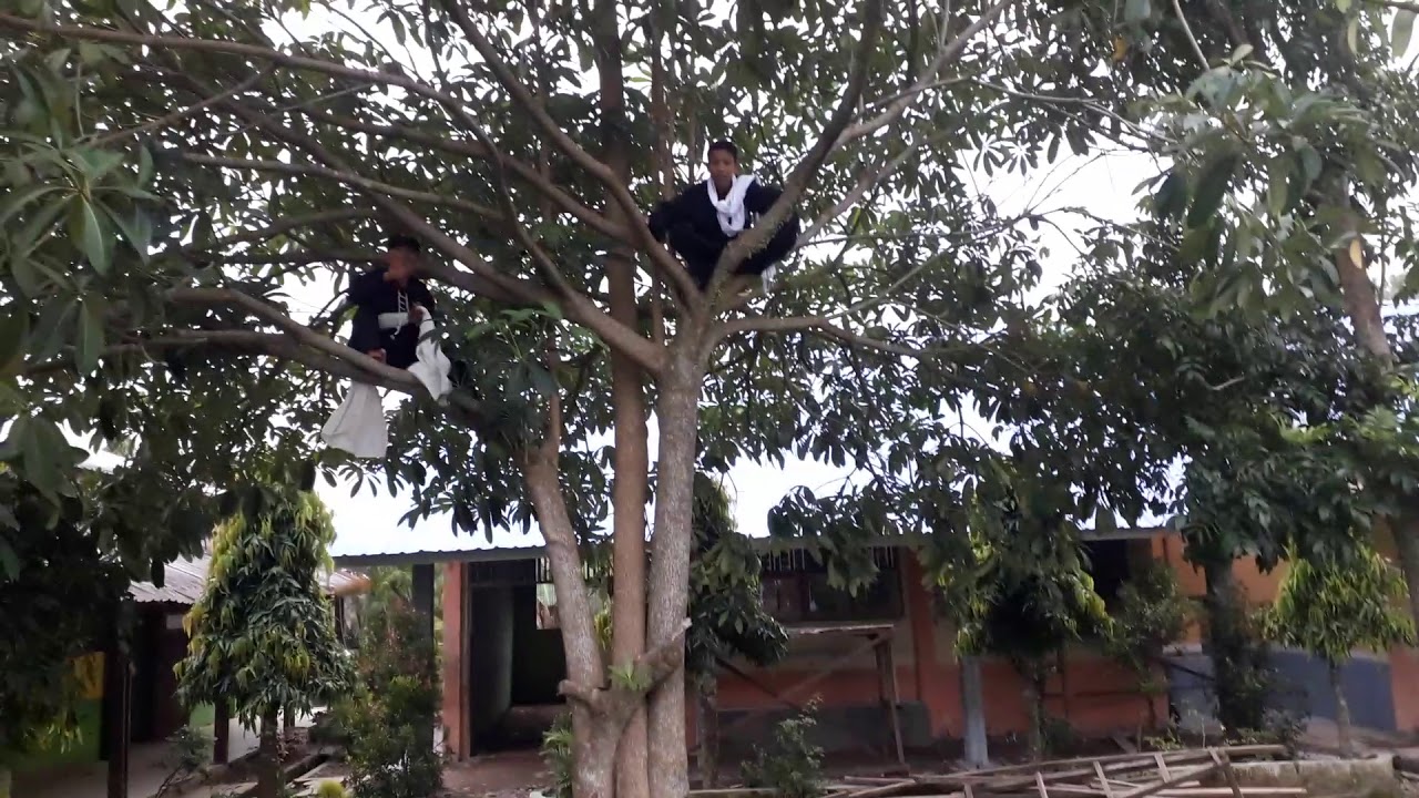 Ngajarin siswa lompat harimau   versi mas uut YouTube