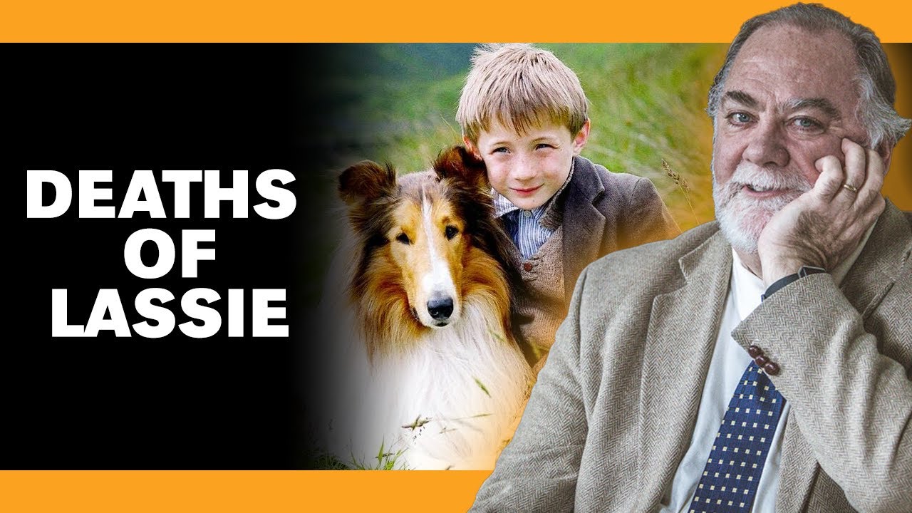 The Original 'Lassie' Dog, Pal, Lived to Be Almost 20 and Came to