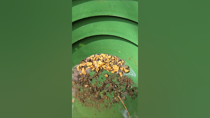Diver Finds Pile of GOLD At The River