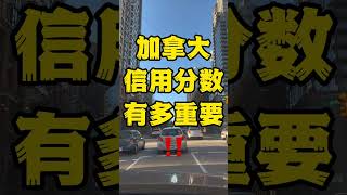 新移民要注意‼️在加拿大累积信用分数有多重要？！