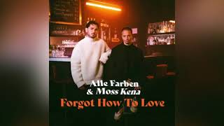 Forgot How To Love - Alle Farben feat. Moss Kena  Resimi