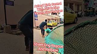 Street Dog Rescue And Release #dog #release #dogwithpublicsafety #ytviral #pets #dogshorts #shorts
