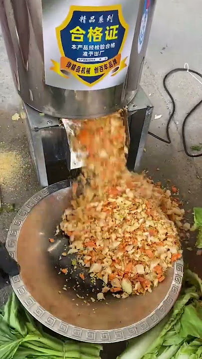 ChickenDuckGoose#vegetableshredder#kuaishousannong#rurallife #dj vrejddff