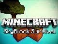 10.000 Abone Olduk- Minecraft Skyblock - 3 Bölüm
