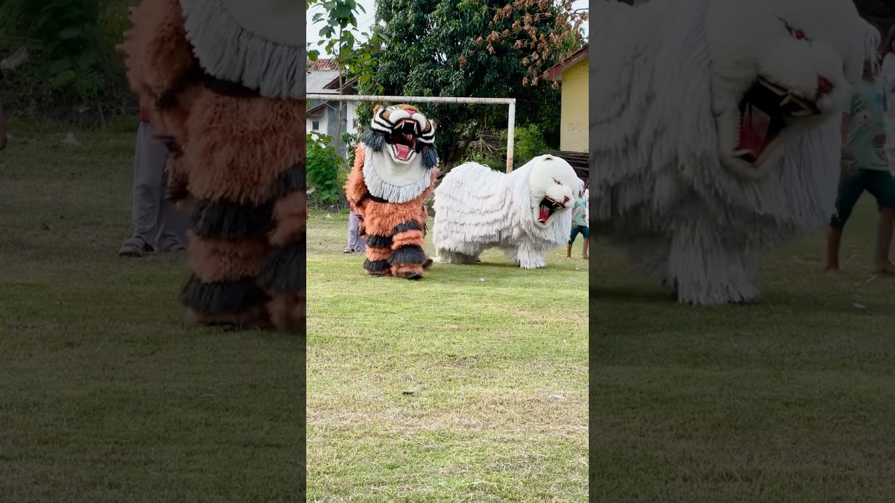 2 can macanan berjalan