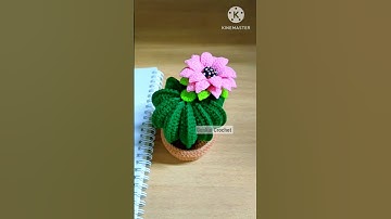 🌵Crochet Cactus in pot Free pattern Tutorial on YouTube Gonkui Crochet step by step #shorts