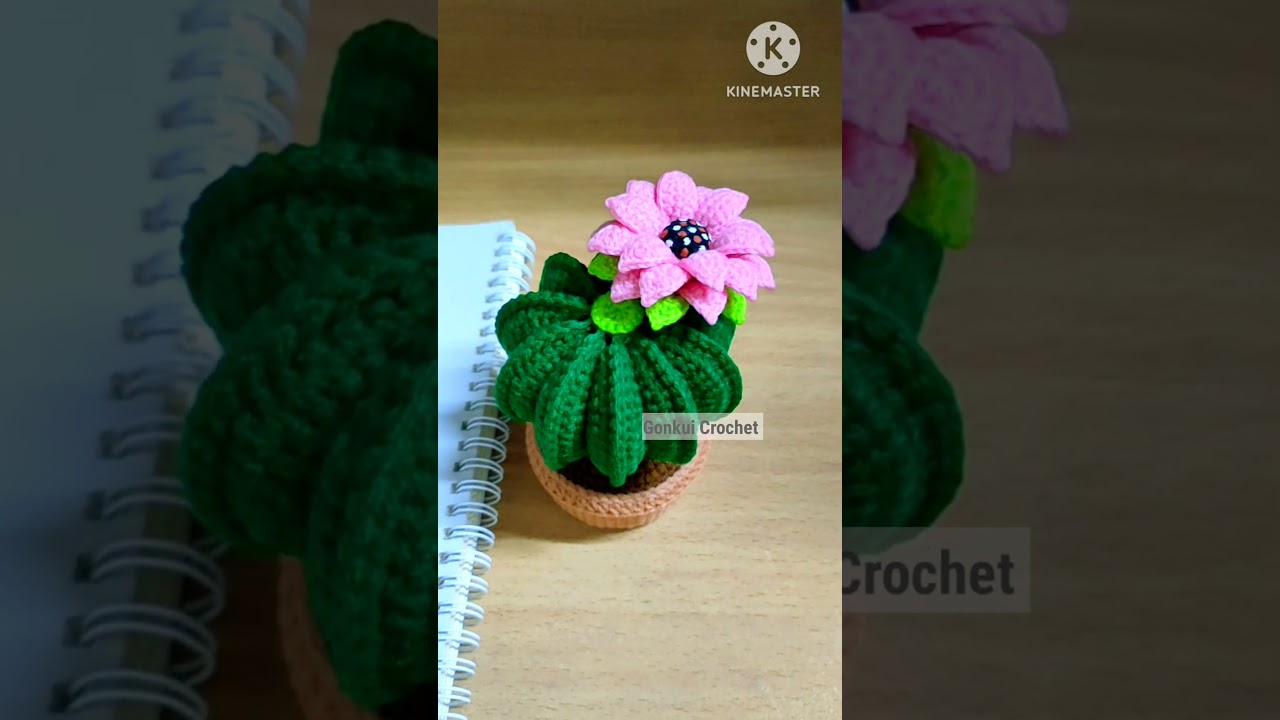 🌵Crochet Cactus in pot Free pattern Tutorial on YouTube Gonkui Crochet step by step 