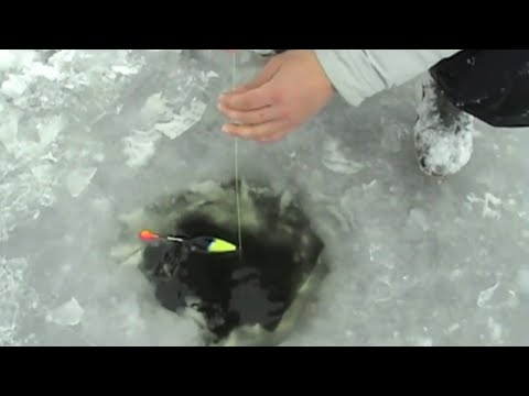 Video: Bagaimana Memancing Di Es?