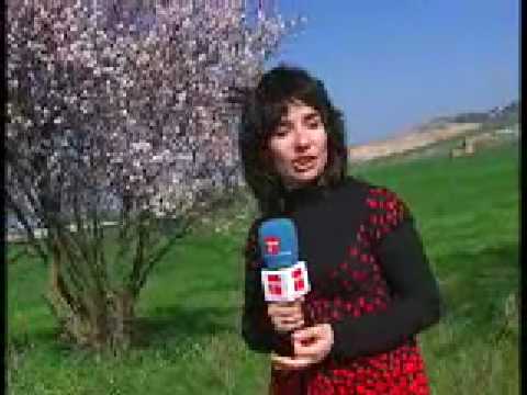 Vídeo: Com funcionen les frontisses de primavera?