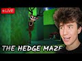 99 Nights In The Forest HEDGE MAZE UPDATE! JOIN QUICK!🌳🎃