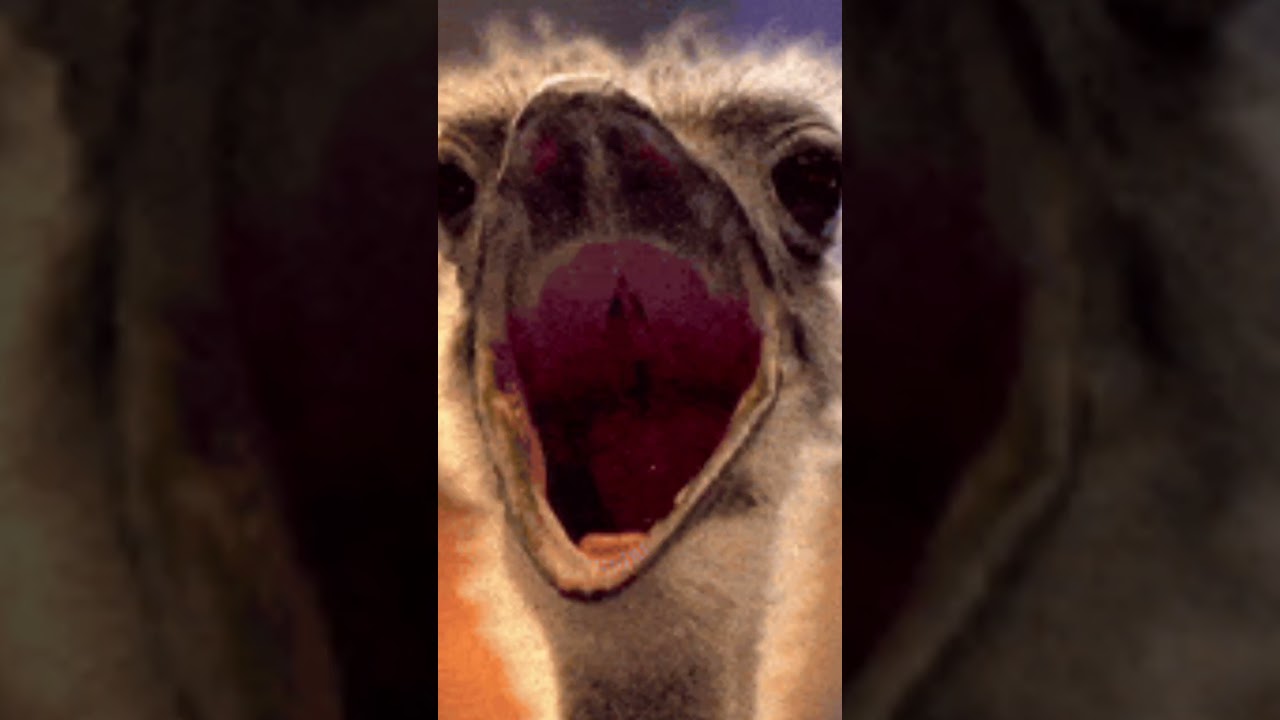 Foi por um triz 😬